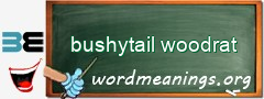 WordMeaning blackboard for bushytail woodrat
